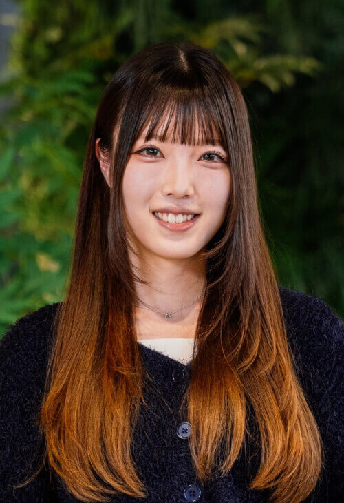 ミクステンド木下